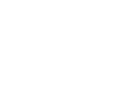 HEALTH WAGEN